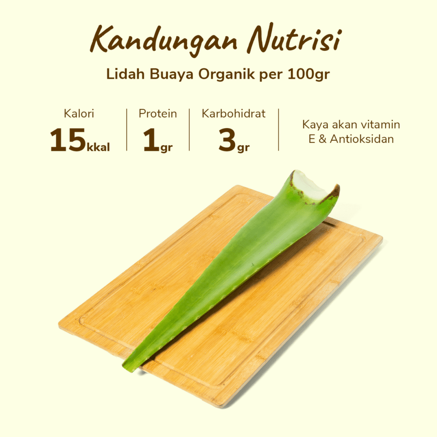Lidah Buaya Organik 400-600gram