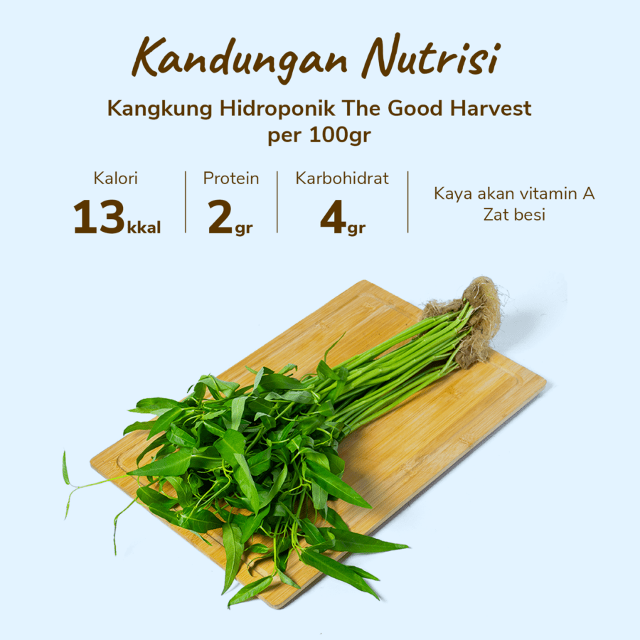 The Good Harvest Kangkung Hidroponik 250gram