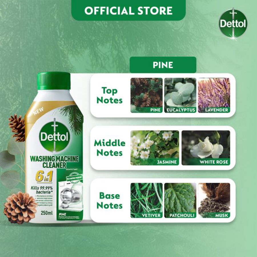 Dettol Washing Machine Cleaner Pine 250ml