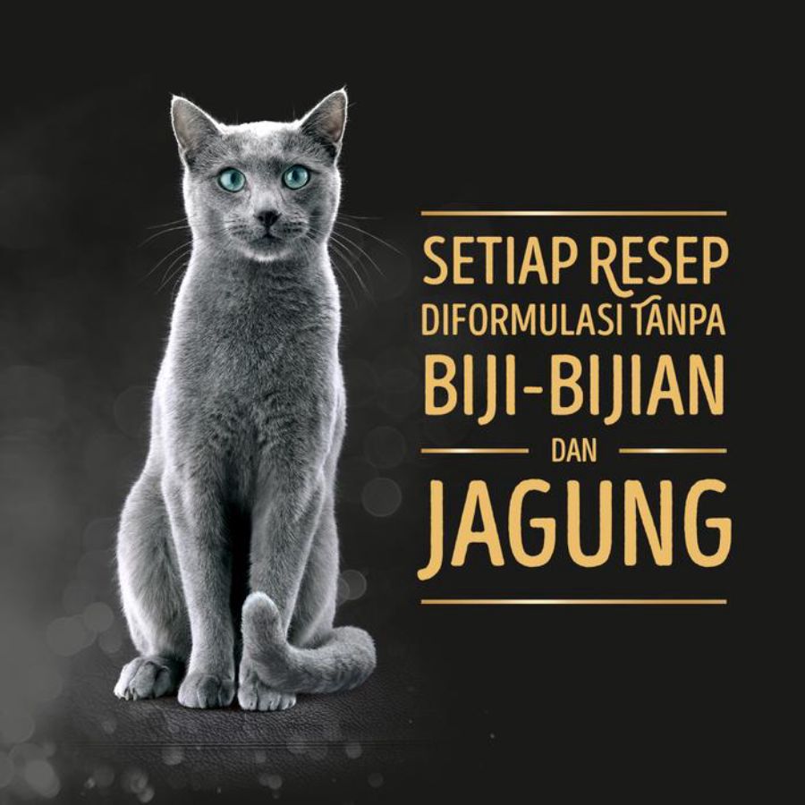 Sheba Tuna Chicken Bonito Adult Makanan Kucing Basah 70gram