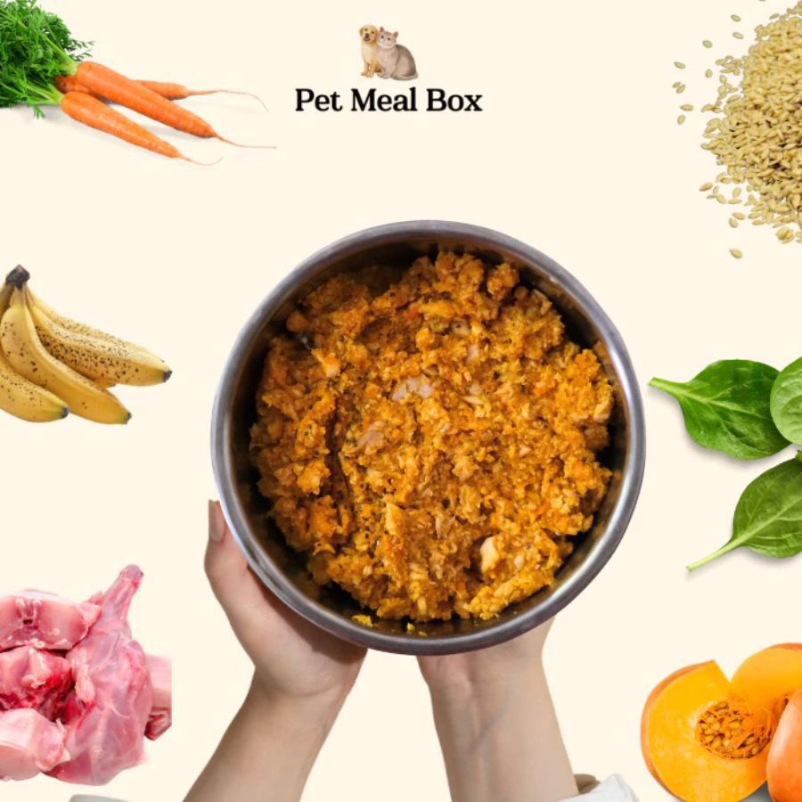 Pet Meal Box Rabbit Cooked Wet Dog Food 500gram