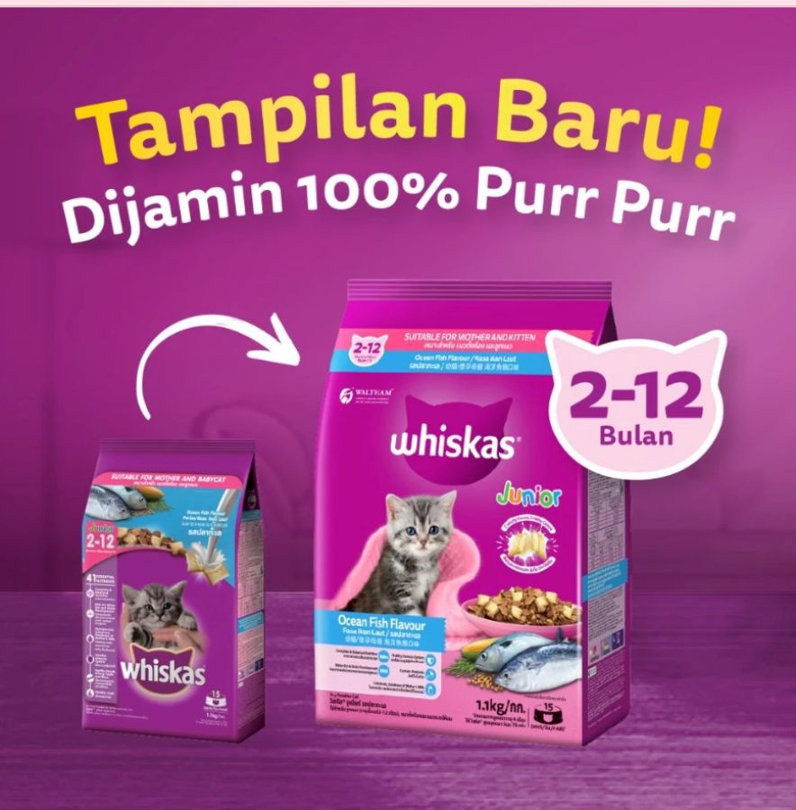 Whiskas Ocean Fish Junior Makanan Kucing 1100gram