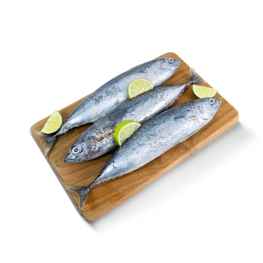 Ikan Tongkol Utuh Astro Farm 450gram