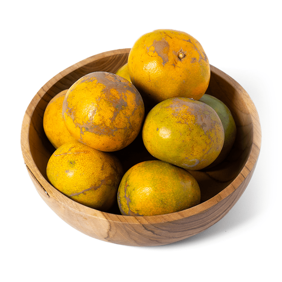 Jeruk Peras Manis Siam Madu Ekonomis Astro Farm 8-12 pcs 1-1.1kg