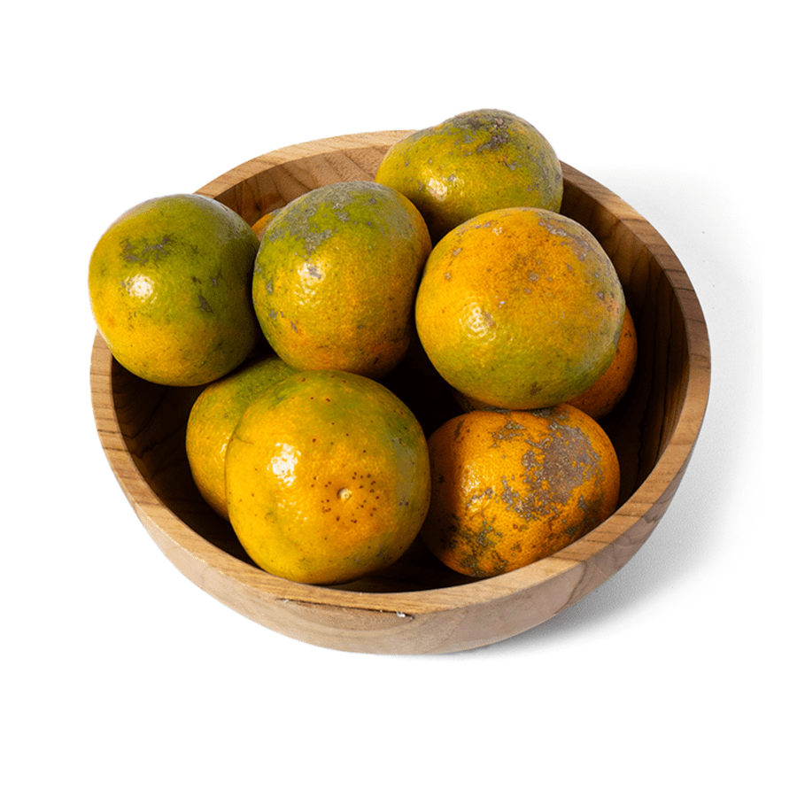 Jeruk Medan Ekonomis Astro Farm 4-5 pcs 450-500gram