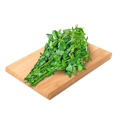 Daun Katuk Konvensional Astro Farm