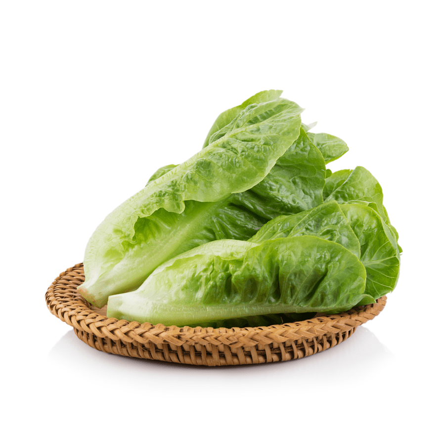 Selada Romaine Konvensional Astro Farm 200gram
