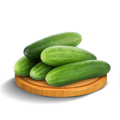 Timun Fresh Astro Farm