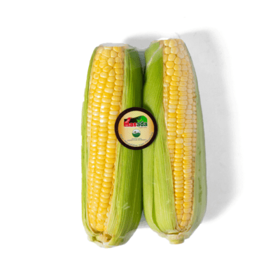 Jagung Manis Organik