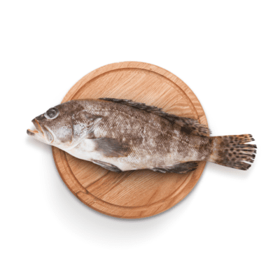 Ikan Kerapu Bersih (2-3 pcs)
