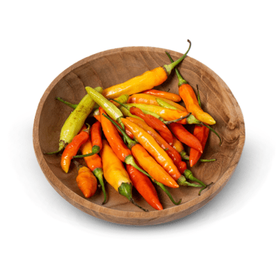 Cabe Merah Rawit Ekonomis Astro Farm