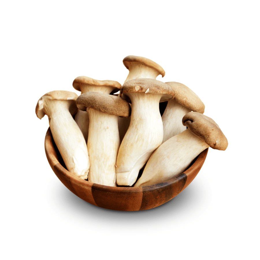 Jamur King Oyster Mini Pack 200gram