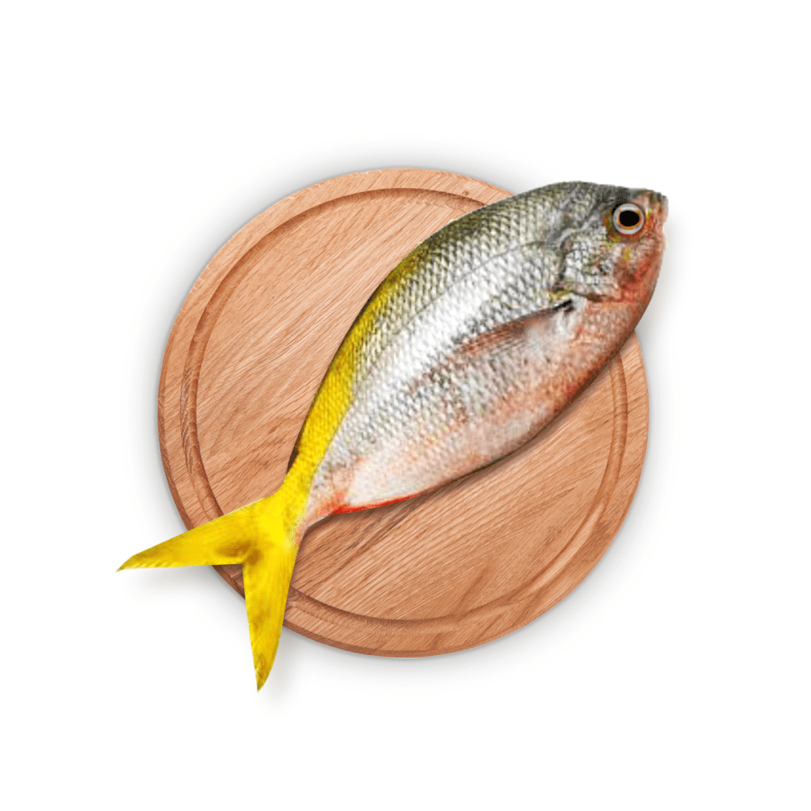 Ikan Ekor Kuning Bersih 250-350gram