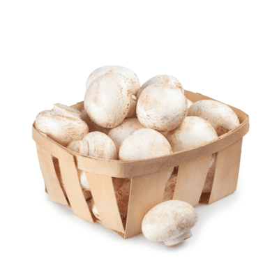 Jamur Champignon