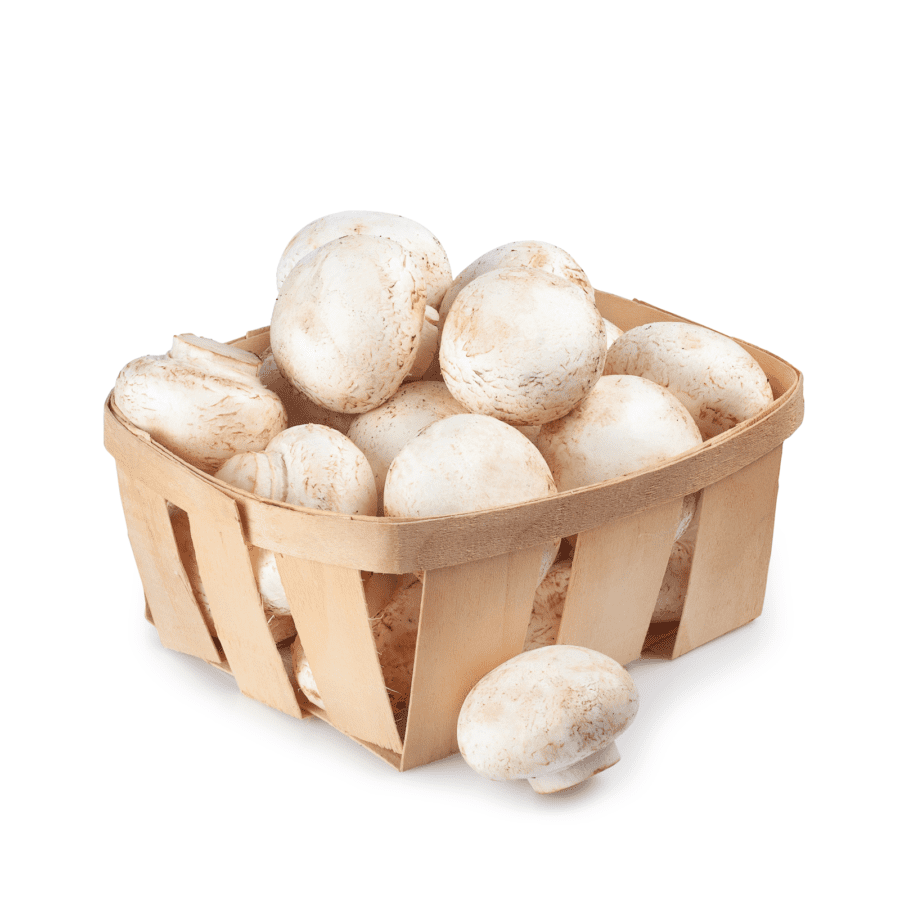 Jamur Champignon 250gram