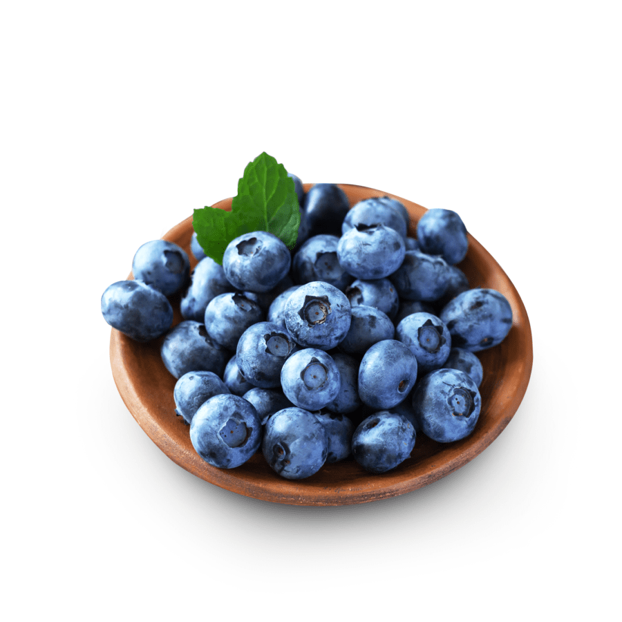 Blueberry Premium Astro Farm 125gram