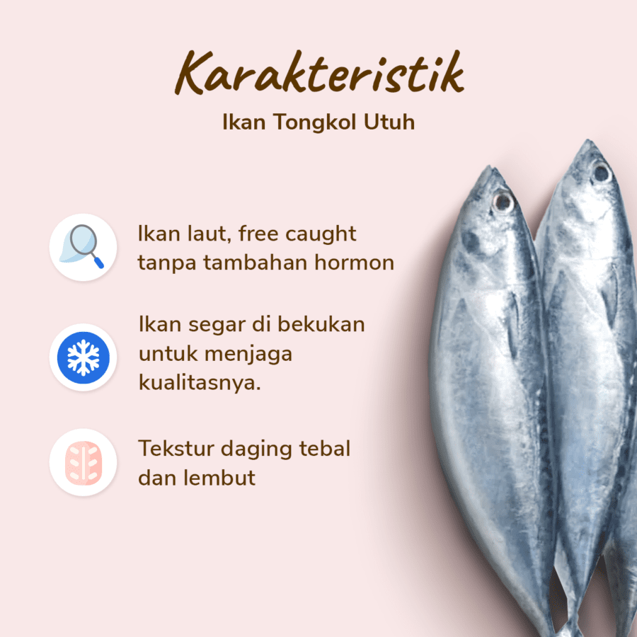 Ikan Tongkol Utuh Astro Farm 450gram