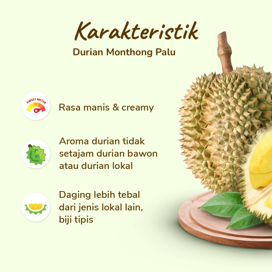 SHB Durian Monthong Palu Frozen Premium 1 pack 450-500gram