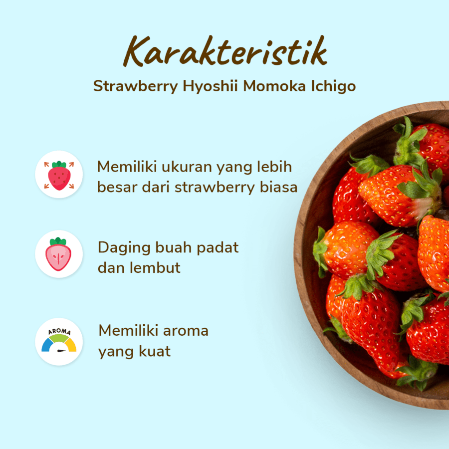Hyoshii Strawberry Premium Momoka Ichigo Size M