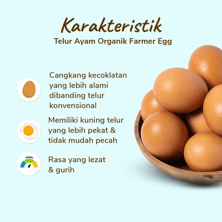 Farmer Eggs Telur Ayam Omega Organik 10butir