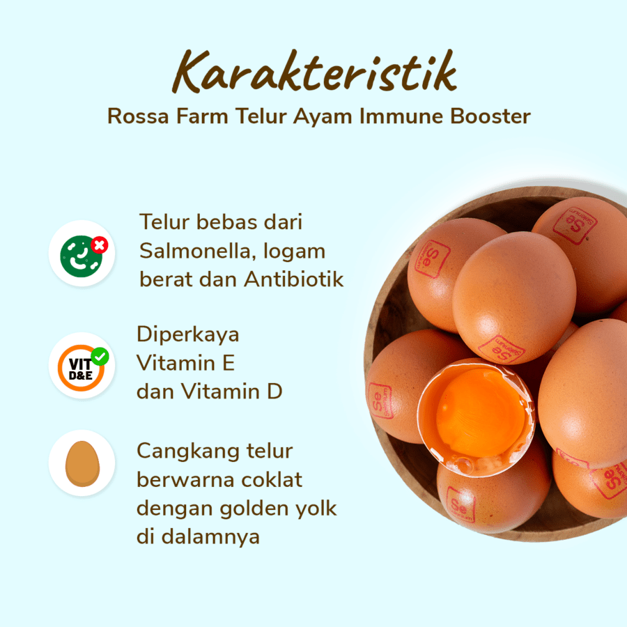 Rossa Farm Telur Ayam Omega 3 10butir
