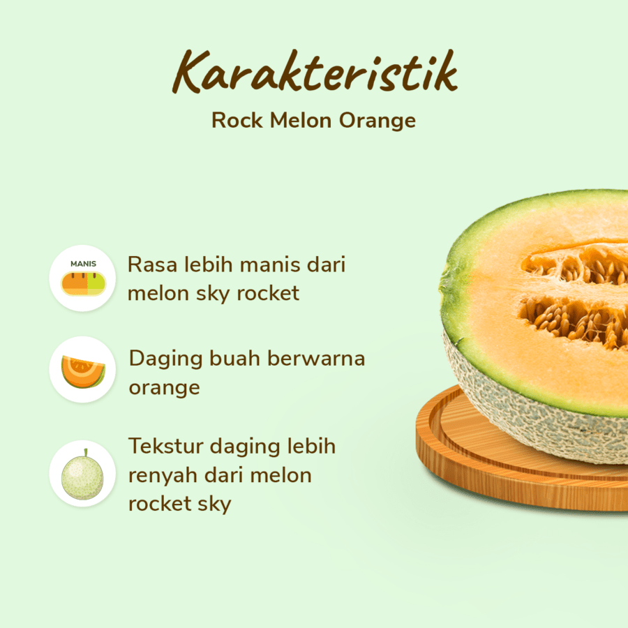 Rock Melon Orange Astro Farm 1 pcs 1.8-2.2 kg 1.8-2.2kg