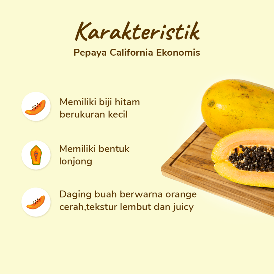 Pepaya California Ekonomis Astro Farm 1 pcs 1-1.4kg