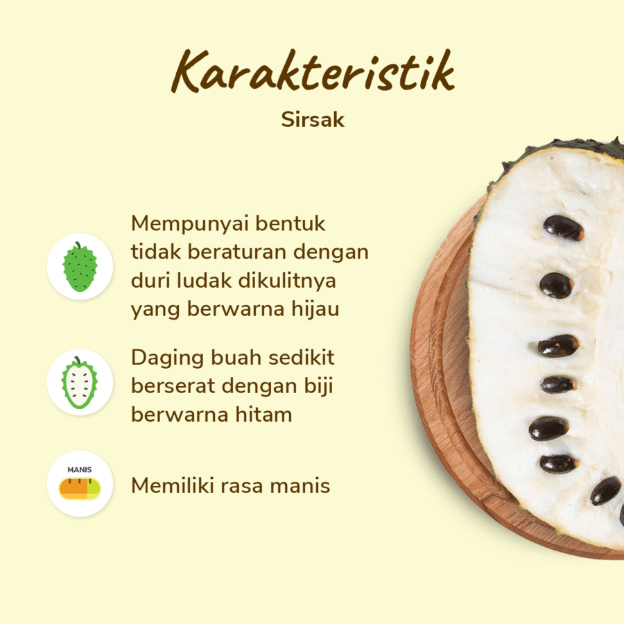 Sirsak 1 pcs 400-500gram