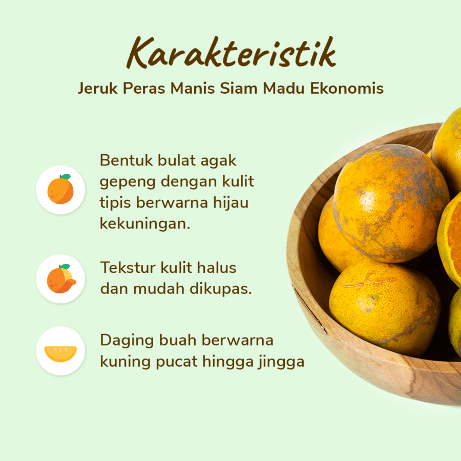 Jeruk Peras Manis Siam Madu Ekonomis Astro Farm 8-12 pcs 1-1.1kg