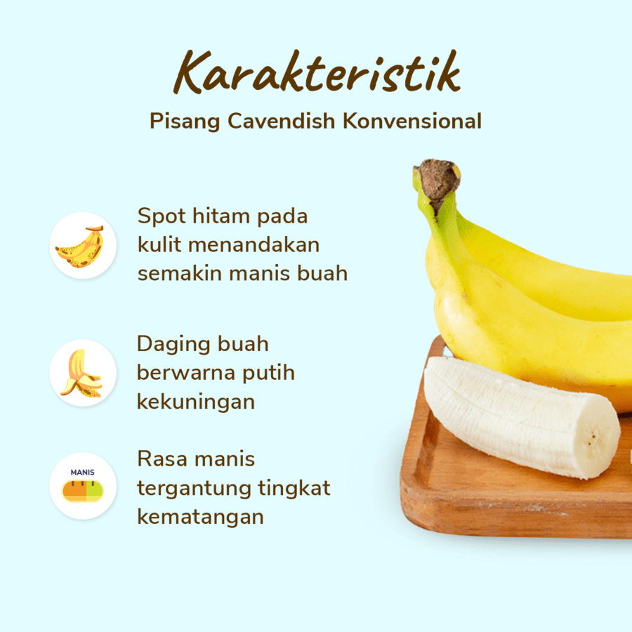 Pisang Cavendish Astro Farm 2-4 pcs 450-550gram