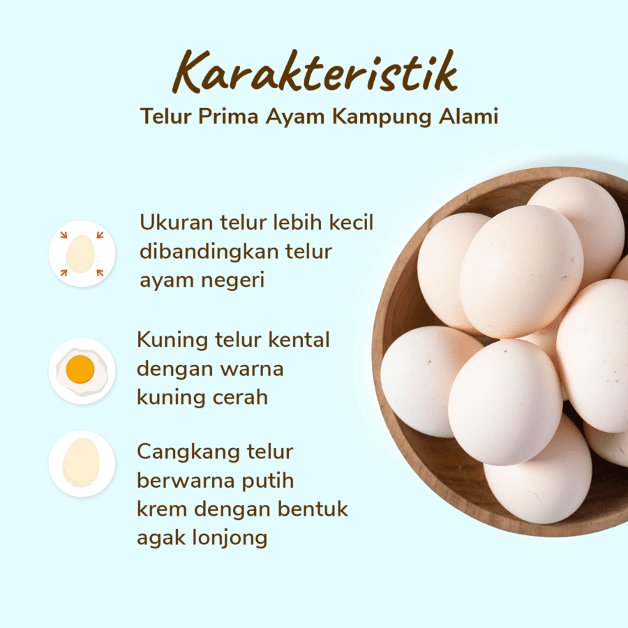 Telur Prima Ayam Kampung Alami 10butir