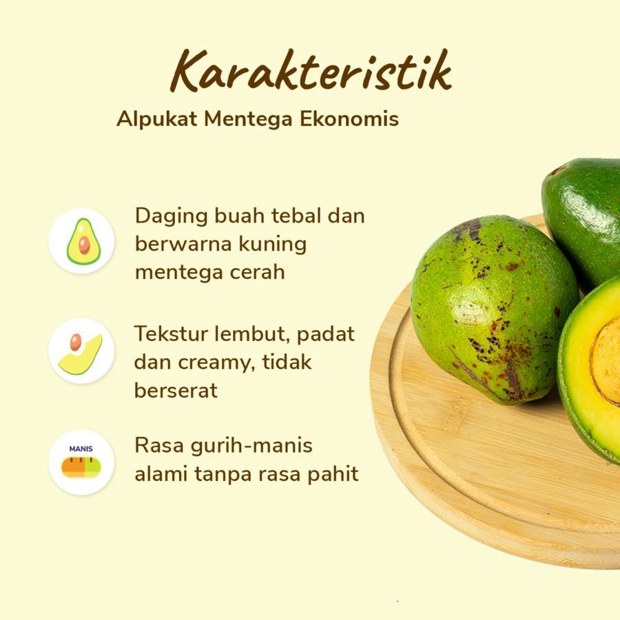 Alpukat Mentega Ekonomis Astro Farm 2-4 pcs 900-1000gram