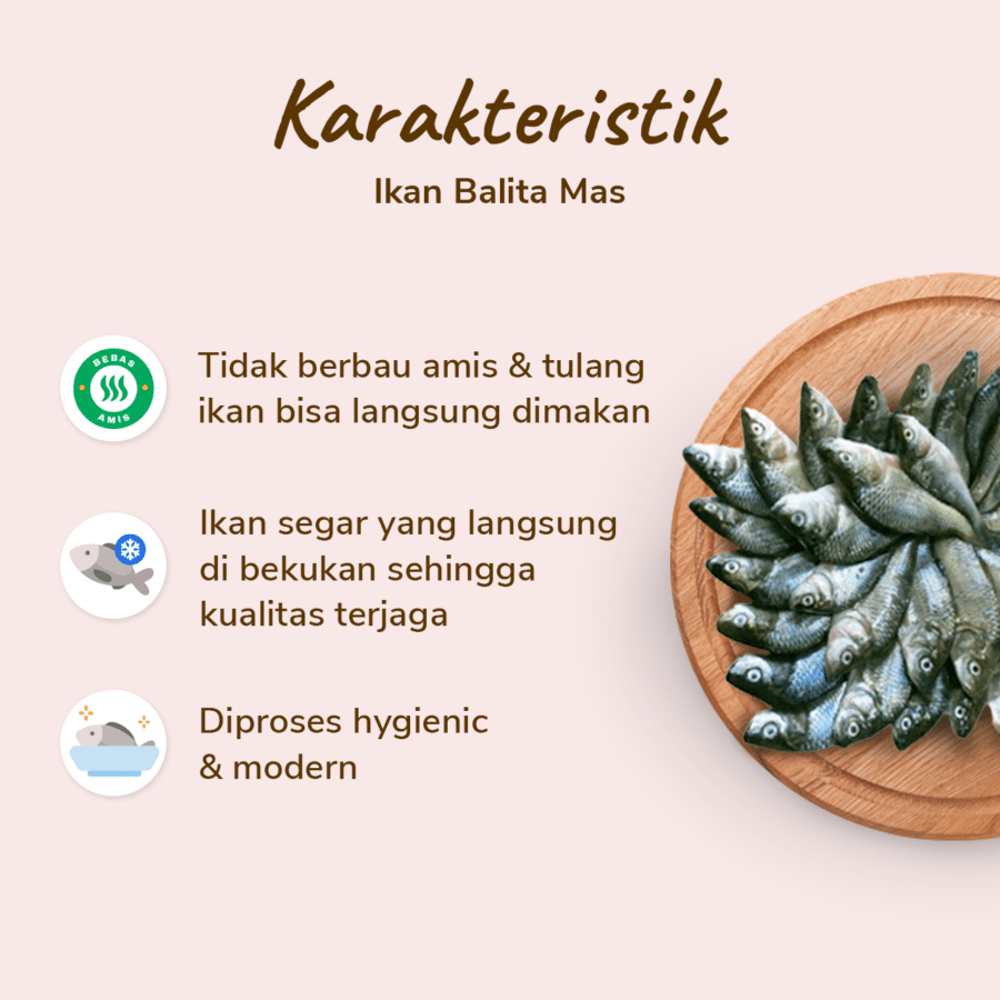 Ikan Balita Mas Astro Farm 200gram