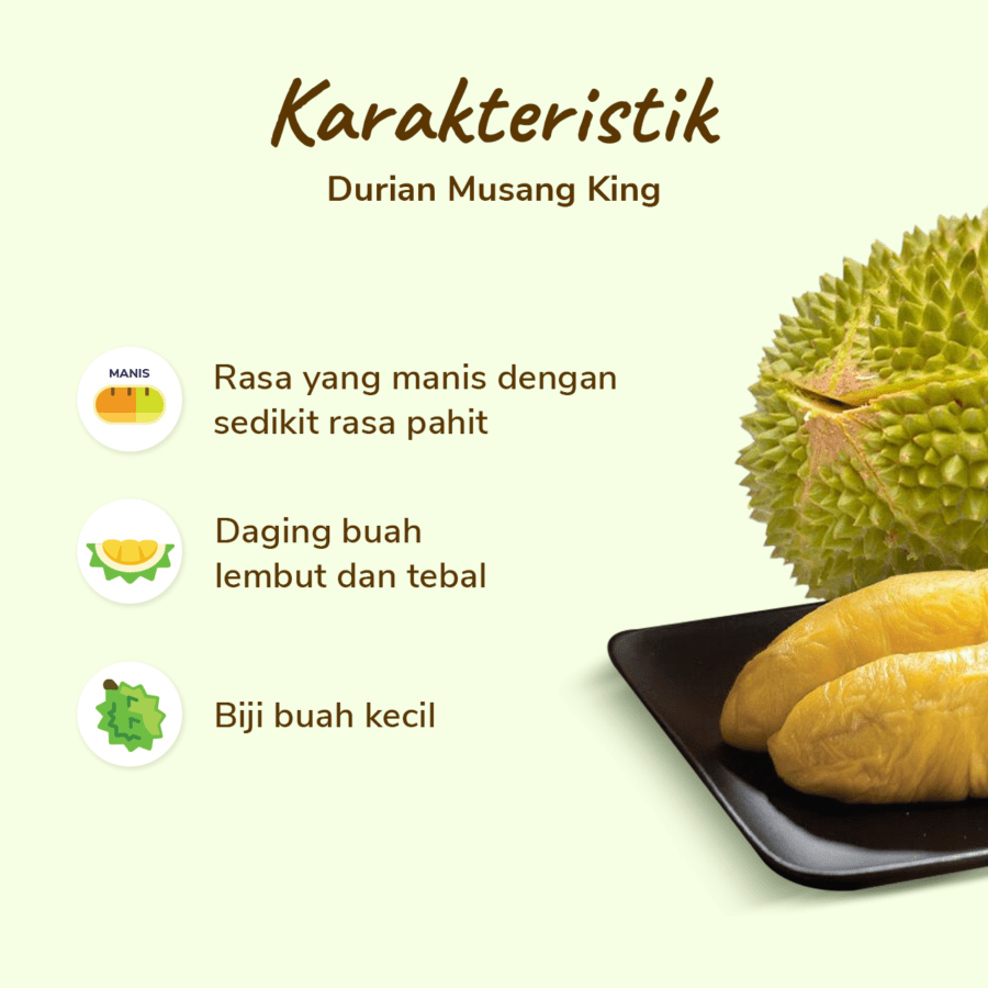 SHB Durian Musang King Frozen 400gram