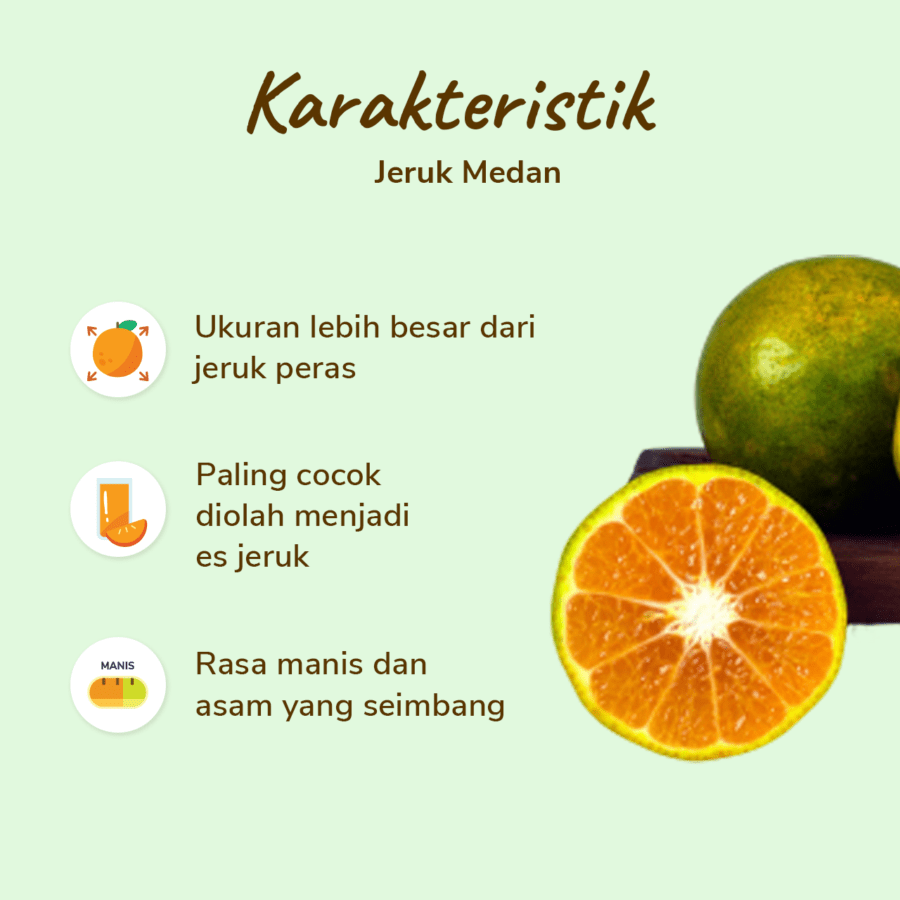 Jeruk Medan Astro Farm 4-5 pcs 450-500gram