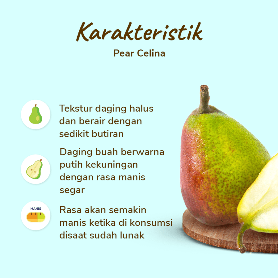 Pear Celina Astro Farm 4-6 pcs