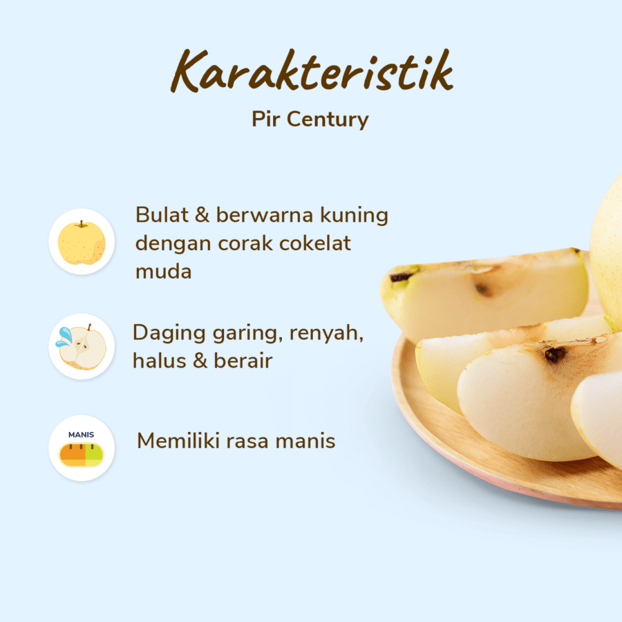 Pear Century Astro Farm 3-5 pcs 900-1000gram