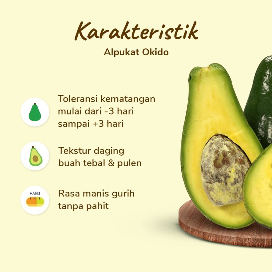 Alpukat Okido Premium Size L Astro Farm 1 pcs 500-700gram
