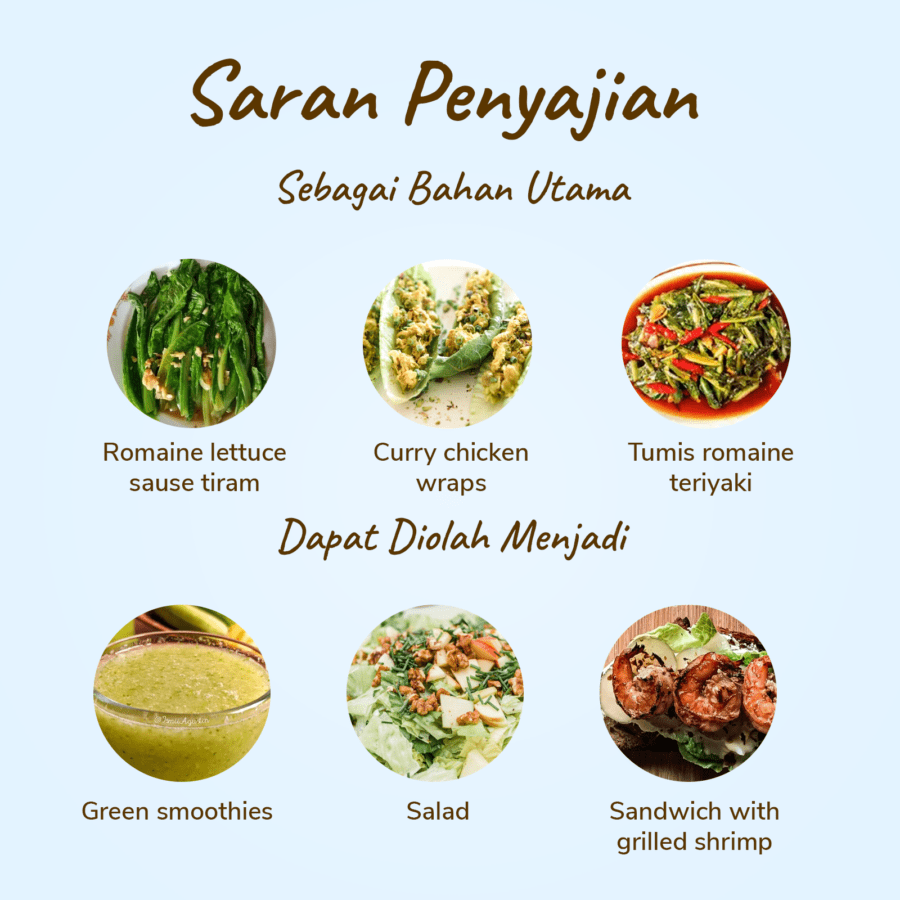 Selada Romaine Organik 250gram