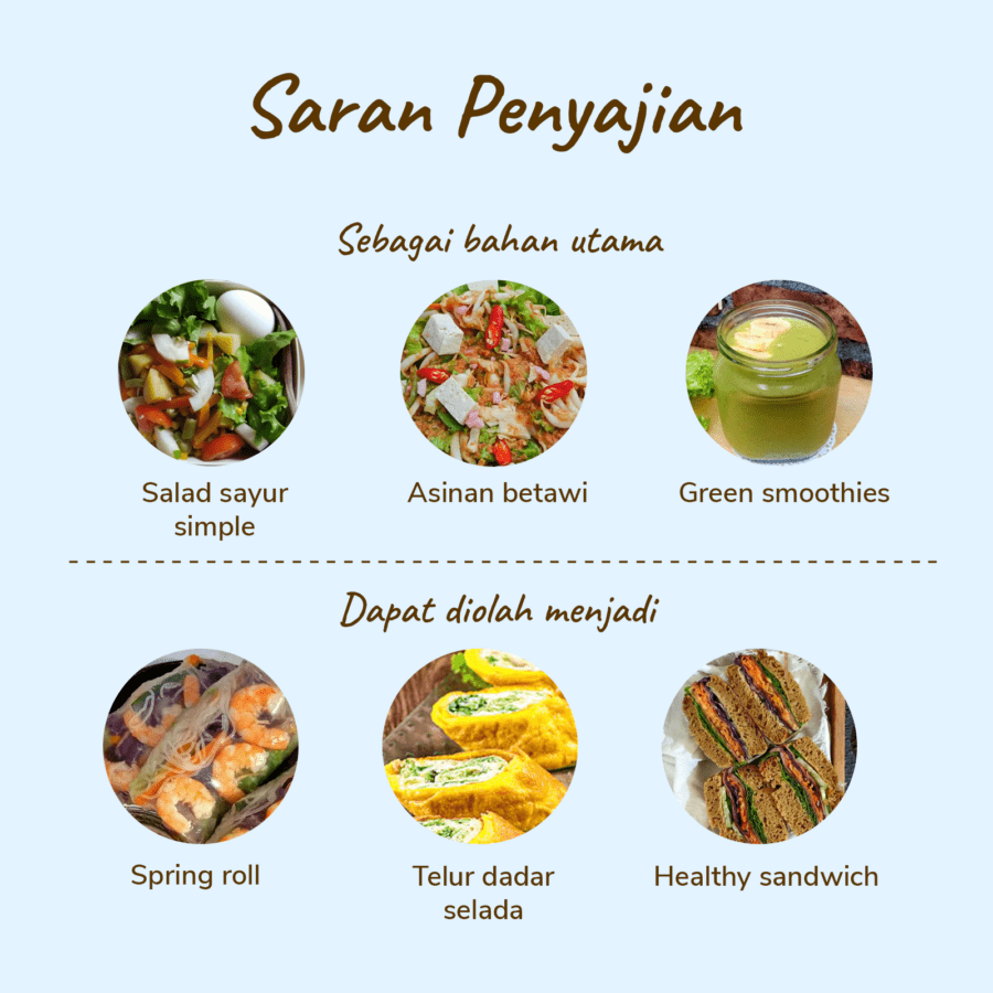 Selada Keriting Organik