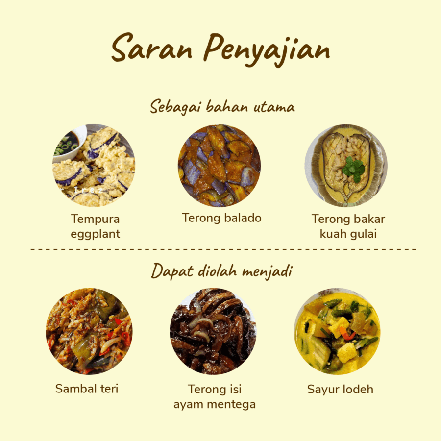 Terong Ungu Organik 500gram
