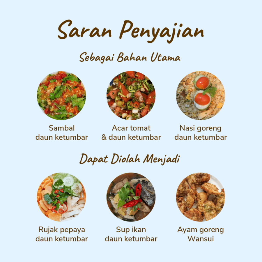 Daun Ketumbar Organik 50gram