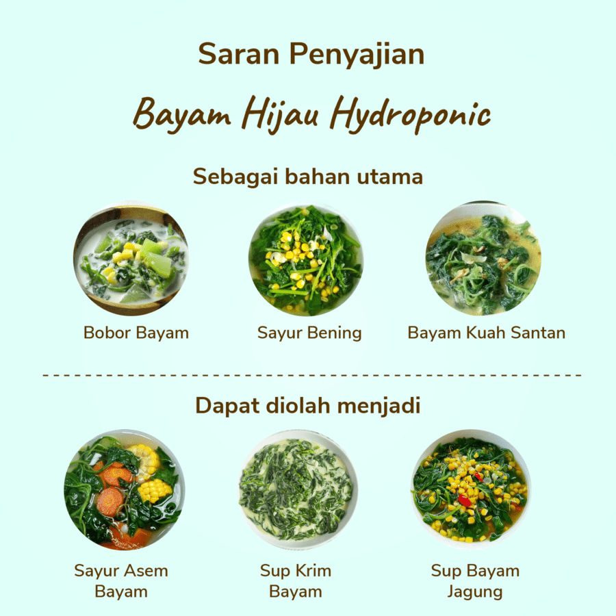 Bayam Hijau Hydroponic Astro Farm 200gram