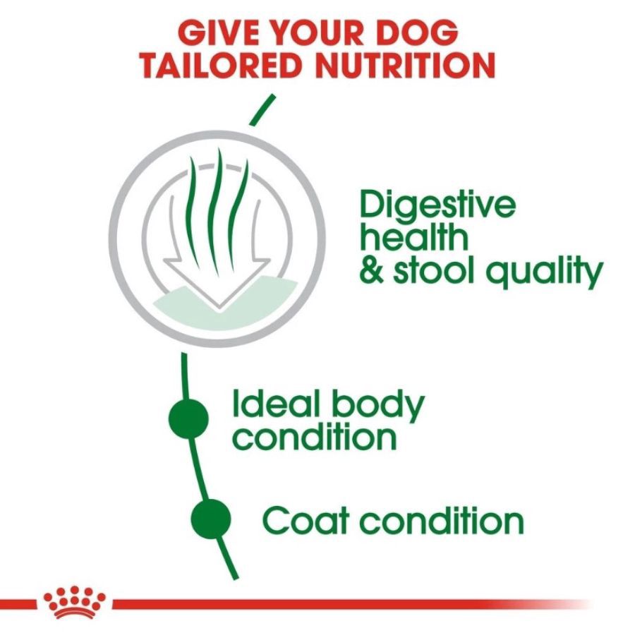 Royal Canin Mini Indoor Adult Makanan Anjing Kering 3kg