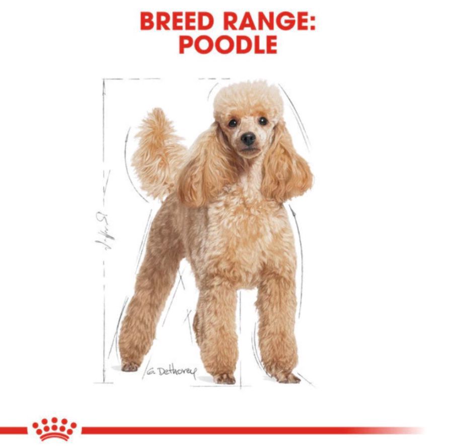 Royal Canin Poodle Adult Makanan Anjing Kering 3kg