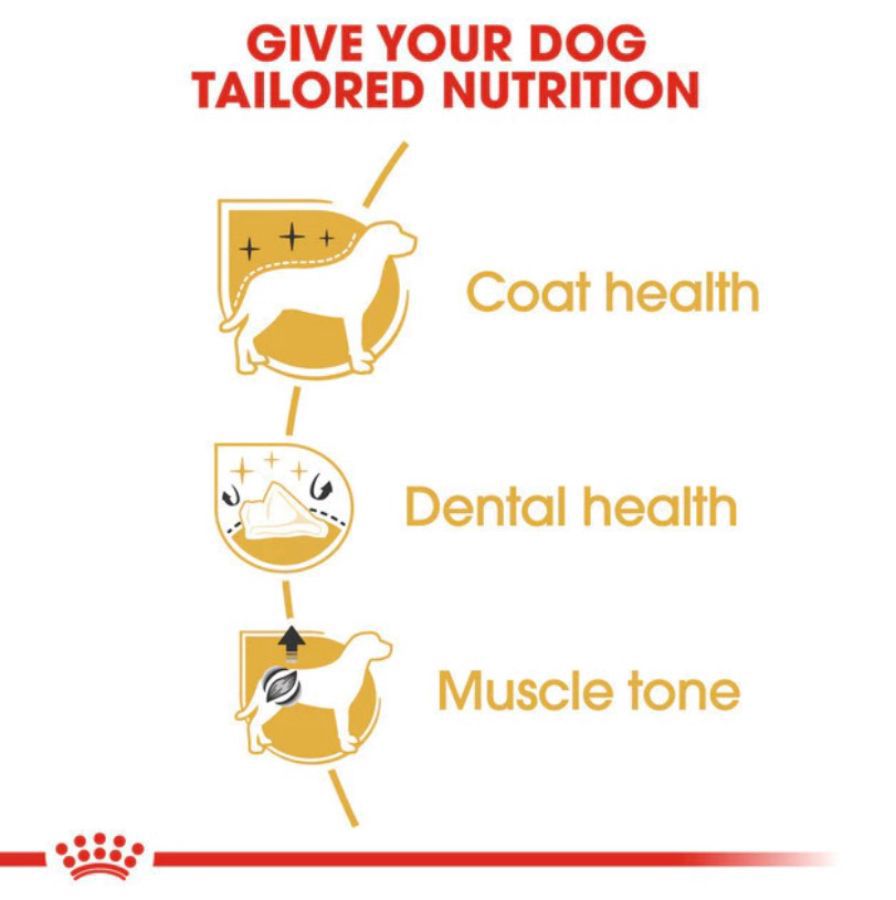 Royal Canin Poodle Adult Makanan Anjing Kering 3kg