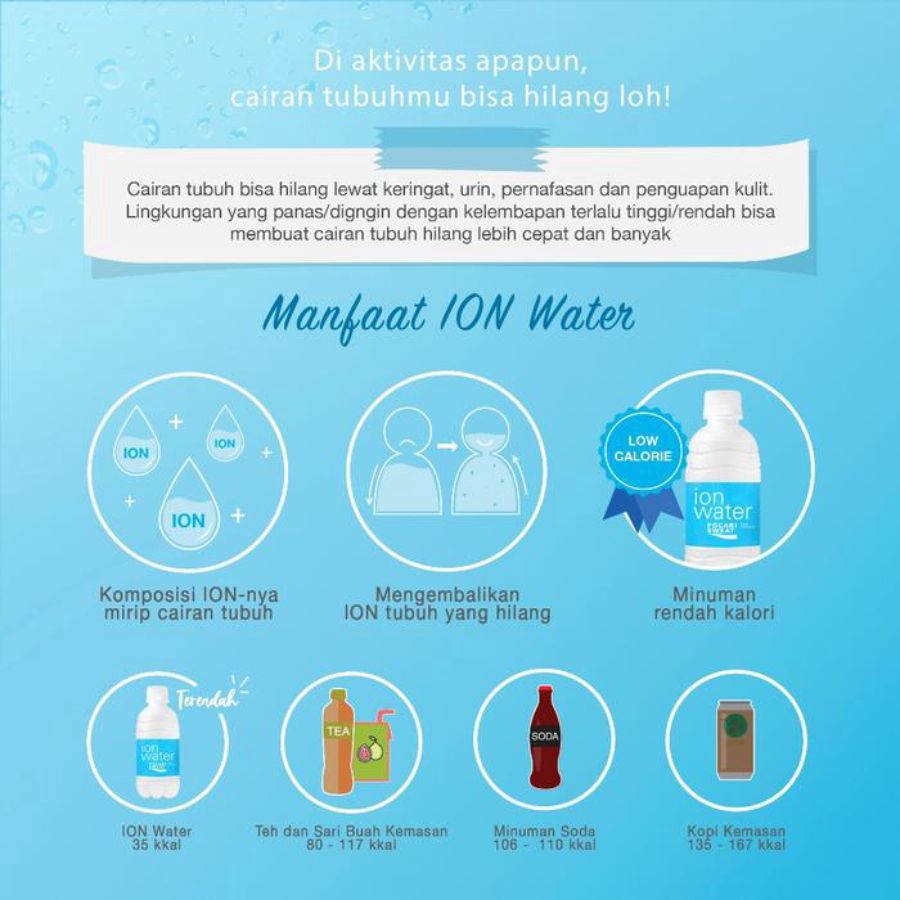 Ion Water Pet 350ml