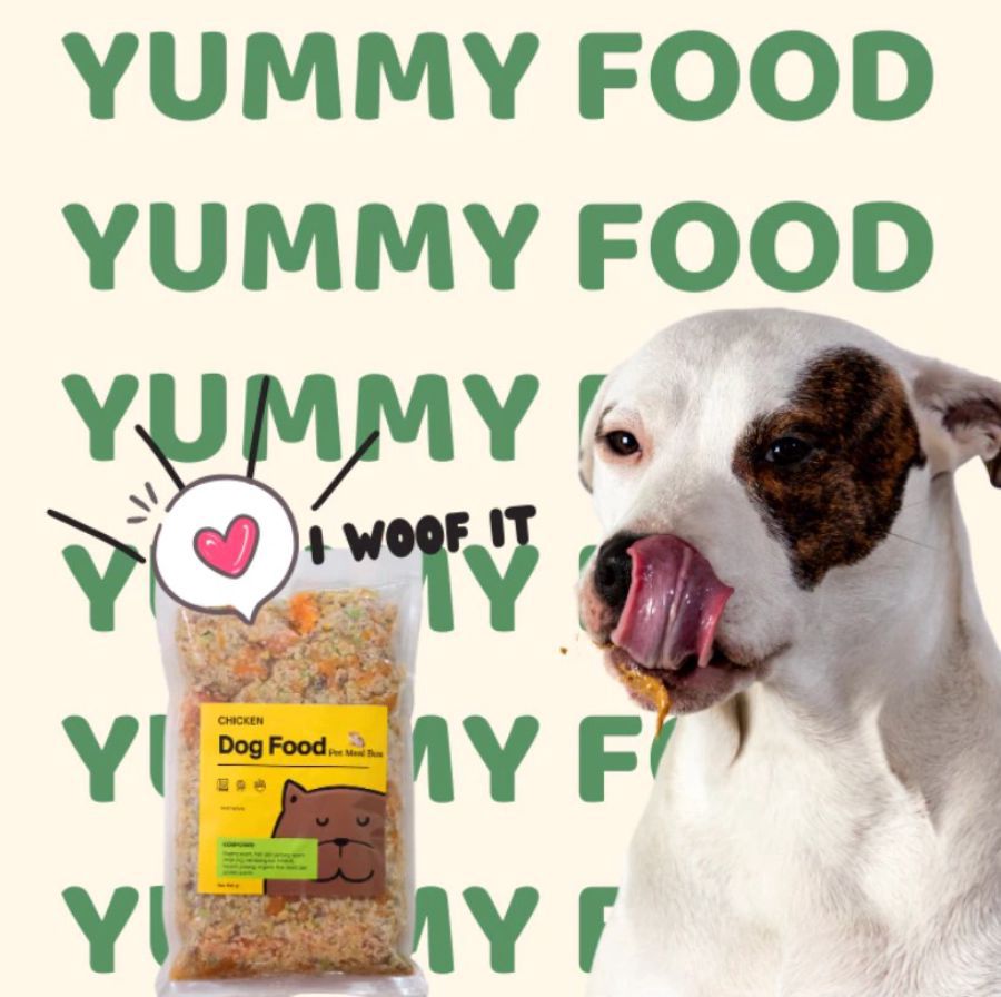 Pet Meal Box Cooked Chicken Wet Dog Food