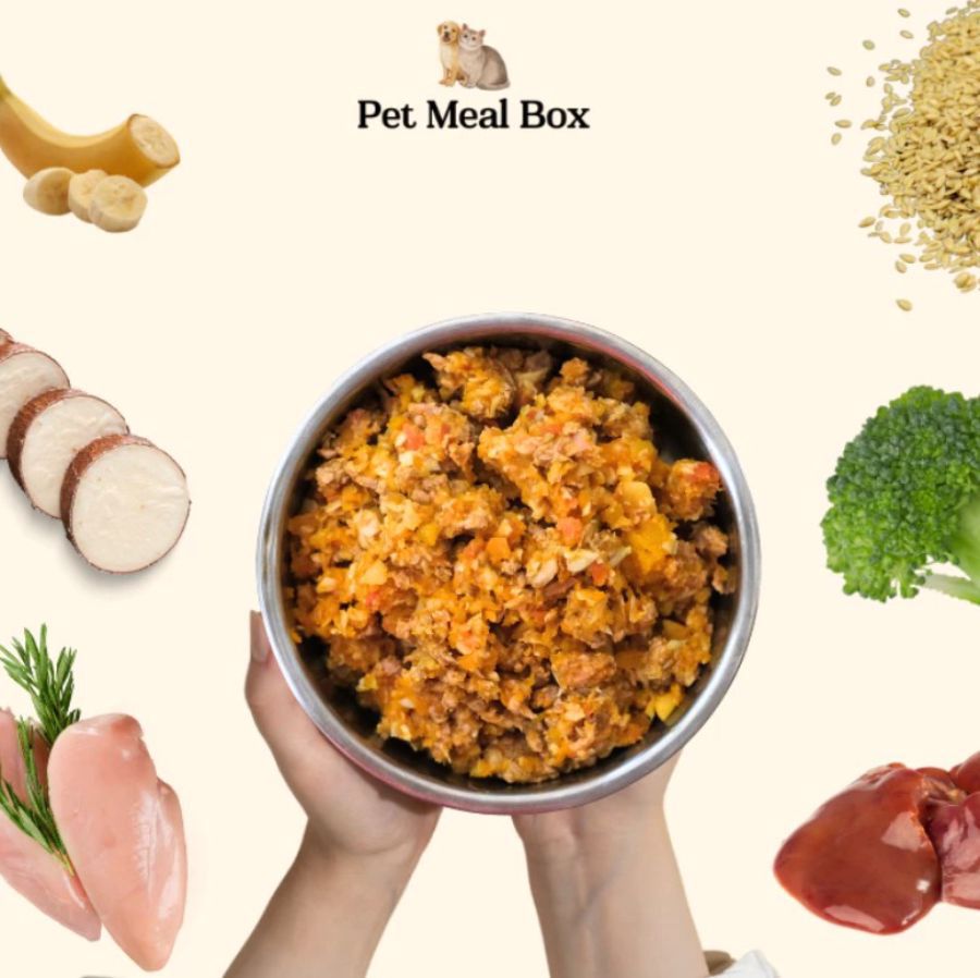 Pet Meal Box Cooked Chicken Wet Dog Food