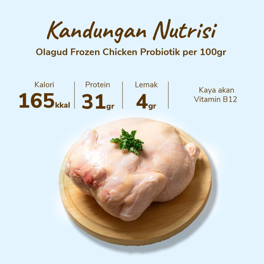 Olagud Frozen Chicken Probiotik
